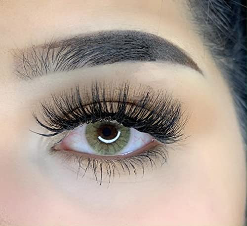 MYSALENS® Lentilles De Contact De Couleur Honey Mel Hidrocor Naturelle très haute opacité Kit De Rangement Boitier Pince applicateur 12 Mois sans correction