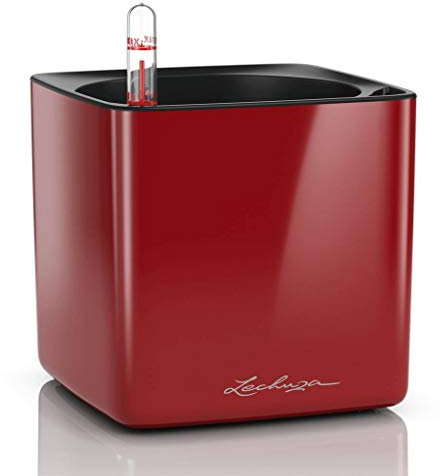 Lechuza Vaso da Tavolo Cube Glossy con Auto irrigazione 14X14 H14 Rosso Scarlatto Lucido