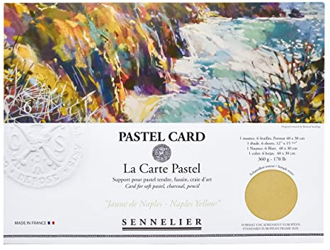 Sennelier La Carte - Pochette in carta pastello, 40 x 28 cm, monocromatica Napoli Giallo