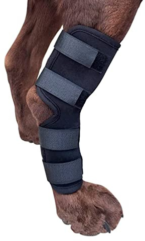 Jiawu Beinstütze, Hinterbein-Sprunggelenksstütze für Hunde, Gelenkkompressions-Hundebandage Zur Genesung, Extra Unterstützende Knie-Sprunggelenks-Sprunggelenksstütze für Hunde (M)