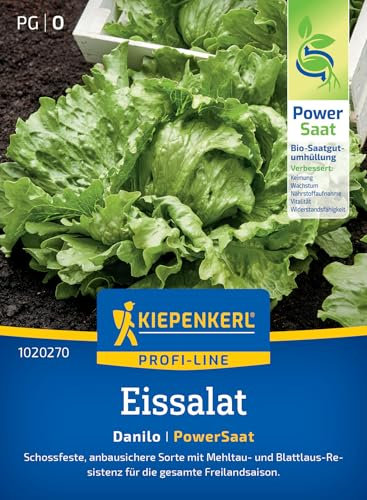 Kiepenkerl Profi-Line Eissalatsamen Danilo 1020270 - Schossfeste, anbausichere Salatsamen für die Freilandsaison, resistente Sorte mit knackigen Blättern