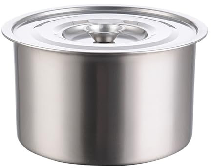 Olla de acero inoxidable, olla de cocción profunda para hervir a fuego lento, olla grande para sopa con tapa, olla de sopa para condimentar huevos (12 cm)