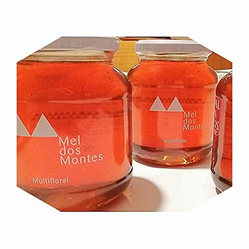 Honig glas 1Kg aus Trás-Os-Montes (PORTUGAL) Naturprodukt Terre Chaude Multifloral. 100% NATÜRLICHER HONIG: Produktionsstöcke werden nicht chemisch behandelt
