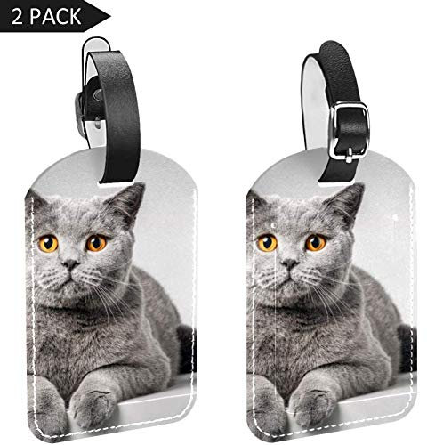 Gepäckanhänger Katze liegend auf dem Tisch Leder Reisekoffer Etiketten 2 Packungen
