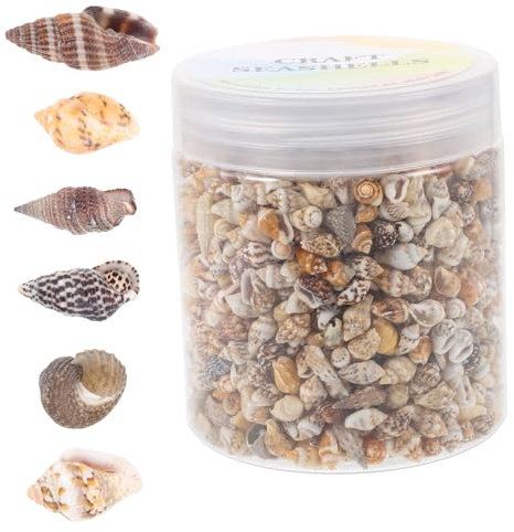 GARIOUANS 1 Caja Vaso Decorativo de Naturales Acuario Manualidades DIY y Decoración de Playa Arreglos y Personalizados