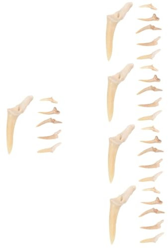 DEARMAMY 30 Stk eines Haifischzahns Handgefertigte Schmuckstücke Haifischzahn Fossilien Zahn Anhänger Kettenhalskette für Jungen coole Halskette für Männer für Kinder
