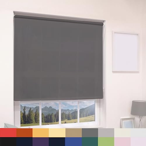 Deluxe Daylight Roller Blinds Light Filtering Premium Fabric Easy Fit Metal Brackets Bedroom Living Room Office Child Safe 160cm Length Trimmable Dark Grey 060cm
