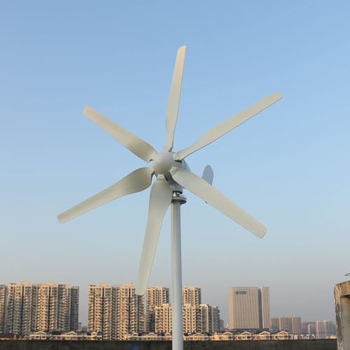 800 W Wind Turbine Generator 12 V 24 V 48V, 6-Blade Horizontal Wind Turbine with MPPT Charge Controller for Home (24, Volt)