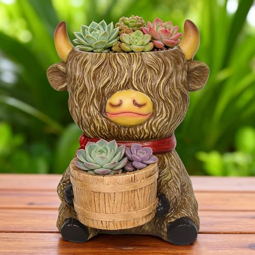 Cute Plant Pots Indoor Decor - Highland Cow Planter with Two Planters Animal Flower Pots with Drainage,Mini Succulent Pot for Home Desk Patio Decorations Outdoor Plants Pot Gifts for Plant Lovers
