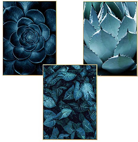 Martin Kench Poster 3er ? Set, Ozean Meer Blau Stil Wandbild Wandkunst Leinwandbild Wandposter Posterset Print Bilder (Sukkulenten,30 x 40 cm)