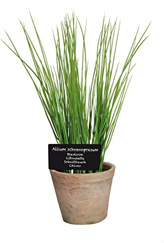 Esschert Design Künstliche Kräuterpflanze Schnittlauch groß