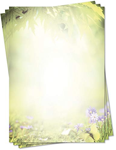 LYSCO Motiv Briefpapier (Natur-5127, DIN A4, 100 Blatt) grüne bunte Sommerwiese Gras bunte Blumen Motivpapier Laub Blätter