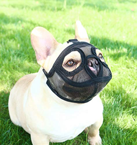 PETEMOO Maulkorb für Hunde mit abgeflachter Schnauze-verstellbar, atmungsaktiv: Englische Bulldogge, Französische Bulldogge, Pekingese, Shih-Tzu, Mops, auch für Katzen geeignet.