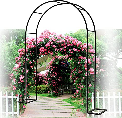 Arche de rose en métal pour plantes grimpantes, arche de jardin de mariage, support de plantes d'extérieur, pergola en fer forgé, décoration d'entrée, treillis de jardin noir