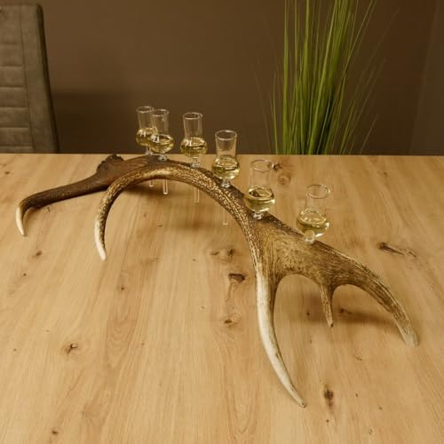 GTK - Geweihe & Trophäen KRUMHOLZ 27.60.2.45 Lot de 6 petits verres à piquer avec pied sur tige de cerf