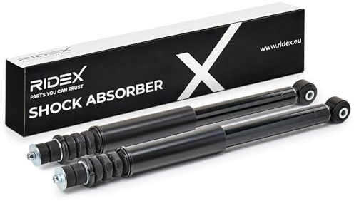 RIDEX 2x Amortisseur Arrière 2x Jeu, Pression de gaz Compatible avec RENAULT Twingo 2 3 portes CN0 Twingo 2 Van / 3/5 portes CNO