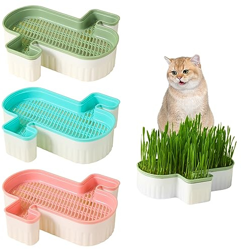 Eioflia Katzenminze, Katzengras, Pflanzgefäß, 3 Stück, erdfrei, Katzengras, Anzuchtset, doppelt abnehmbare Katzengras-Samschale, PP-Samen-Tablett, Katzengrasbox für Hunde und andere Haustiere