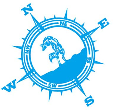 VALICLUD Wolf-König-Kompass-Aufkleber Autoaufkleber vinyl sticker enteiset auto sticker für auto Aufkleber für Fahrzeugkarosserie Auto Aufkleber Wagen Kapuze Wolf-Aufkleber Applikationen