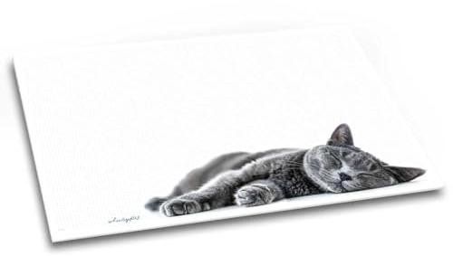Samtpfote Schreibtischunterlage Katze weiß grau kariert DIN A2 | Schreibunterlage beschreibbar, Papier, 40 Blatt