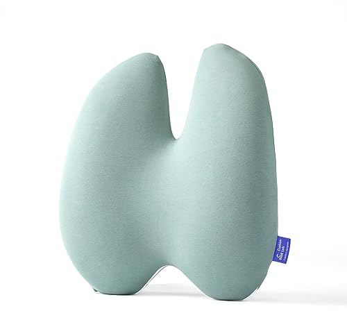 C CUSHION LAB Extra Dense Lumbar Pillow - Patented Ergonomic Multi-Region Firm Back Support for Lower Back Pain Relief - Lumbar Support Cushion with Strap for Office Chair, Car, Sofa - Wellness Green