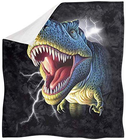 PENGYVV Weiche, warme, gemütliche Decke mit Dinosaurier-Motiv, für Baby-Bettwäsche, Heimbüro, Überwurf, Decken, 203,2 x 152,4 cm