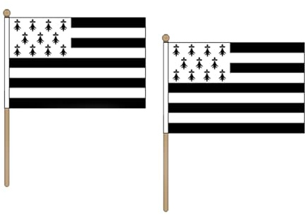 Drapeau Bretagne 45x30cm HAMPE en bois - LOT DE 10 Drapeaux breton - France 30 x 45 cm - AZ FLAG