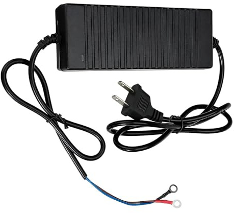 Convertitore da 110 V a 12 V - Adattatore trasformatore step down da 180 W, Alimentatore automobilistico per Officina garage per camper e camper | Dispositivo di tensione Riscaldatore Apparecch