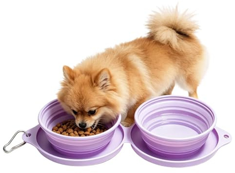 Ciotola pieghevole per cani, ciotola 2 in 1 per cibo per cuccioli con fibbia, ciotola da viaggio in silicone per cani, per viaggi, campeggio, viaggi in spalla, viaggi in spiaggia, cortile
