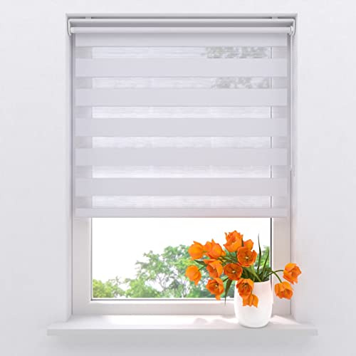 Radeco® Doppelrollo klemmfix ohne Bohren 60 x 150 cm (BxH) Weiß lichtdurchlässig, fensterrollo innen ohne Bohren, rollos für Fenster, Rollo 60 cm breit, Duo Rollo, klemmrollo, klemmfix-doppelrollo