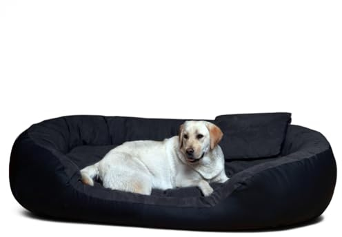 tierlando® Philip VIP Hundebett aus edlem Velours-Kunstleder-Mix mit bequemer Wendematratze, pflegeleichtem Bezug und Stabiler Polsterung Größe: 140x100cm | Farbe: 03 Schwarz