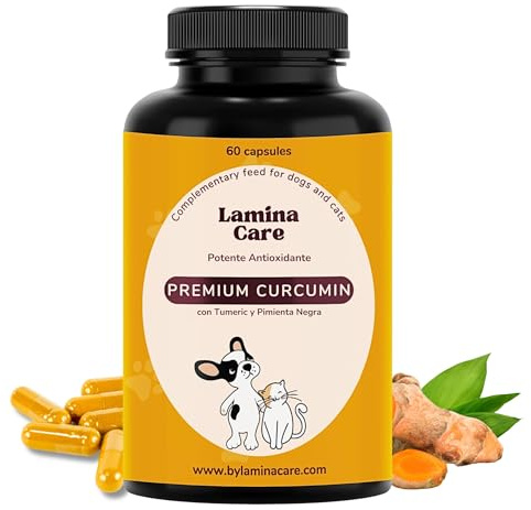 lamina care - Gelenk-Supplement für Hunde und Katzen – Kapseln mit Kurkuma & Piperin – Unterstützt Beweglichkeit, Gelenkfunktion & antioxidativen Schutz – 60 Kapseln