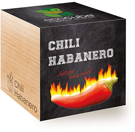 Feel Green Ecocube Chili Habanero, Calda idea regalo calda e sostenibile (100% eco-compatibile), Grow Your Own / Set di piante, piante in cubo di legno 7,5 cm, Made in Austria