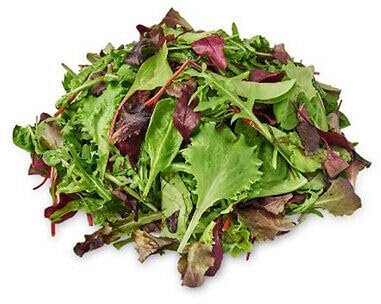 Buy4seeds 500 Seeds Lettuce Gourmet looseleaf Cutting Mix Useful for Garden and Outdoor