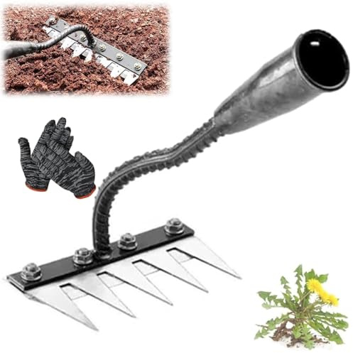 Rastrillo de hierro 2.0, 5/6/7/8 dientes, acero al carbono, rastrillos de deshierbe de jardín, mano de jardinería, hierros resistentes, para jardinería, cultivar, aflojar, mantillo (5 dientes)