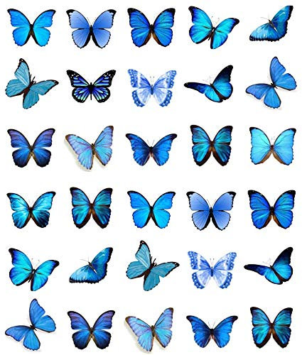 30 decorazioni per cupcake a forma di farfalle blu, in ostia commestibile, per torte di compleanno