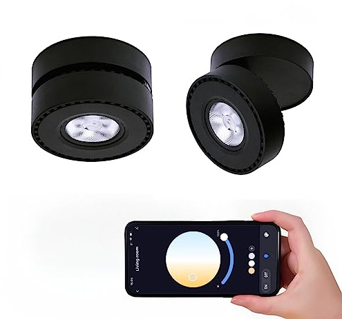 LED Ceiling Spotlight Indoor Dimmable - Tuya Smart Life 360° Adjustable 12W COB Ceiling Downlight Aluminum Hard Wired For Bedrooms Rooms Corridors Painting Background Walls (Black, C (2.36*3.93))