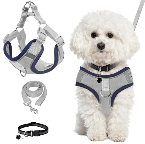 Dog Harness with Lead, Step-in Suede Harness Anti-Pull Reflective Breathable Chest Harness with Collar Traction Rope for Small Dogs Cats Outdoor Training Walking Pet Supplies (Grey, XXL)