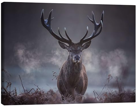 Ein majestätischer Rotwildhirsch atmet in der Winterluft aus Leinwandbild | 90 x 70 cm von Alex Saberi Grau Wandbilder Wanddeko
