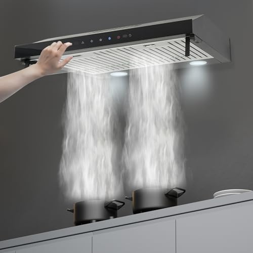 Range Hood 24 Inch Under Cabinet 900 CFM 1800RPM Dual Centrifugal Motor 3-Speed Ducted Kitchen Vent Reusable Filters Stainless Steel Kitchen Exhaust Fan with LED Lights