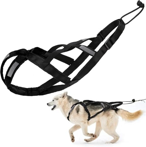JIYIHENKEAI Zuggeschirr für Hunde, verstellbares Hundegeschirr für Hundeschlittenübungen, Bikejöring, Skijöring, Canicross, Scootering, Schlittenfahren mit großen Hunden(Black,XL)