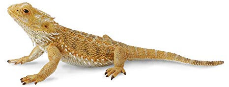 CollectA Bearded Dragon Lizard