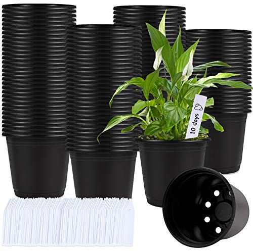 Augshy Schwarze Plastik Blumentöpfe, 110 Stück 15,2cm Kunststoff Pflanzentöpfe mit 110 Stück Etiketten Plastik Anzuchttöpfe für Sukkulenten Setzlinge Stecklinge Umpflanz