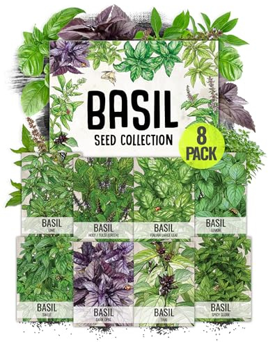 Seed Needs, Culinary Basil Herb Seed Packet Collection (8 Individual Basil Seed Varieties for Planting) Non-GMO & Untreated