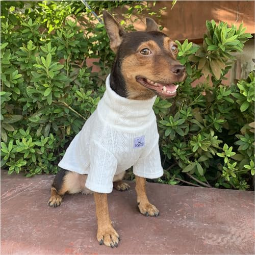 YQYS Dog Turtleneck Sweaters Pullover Sweater for Small Dogs and Kitten Thick Warm Cute Cat Sweater Teacup Dog Clothing Puppy Clothes Ropa para Perro White Medium