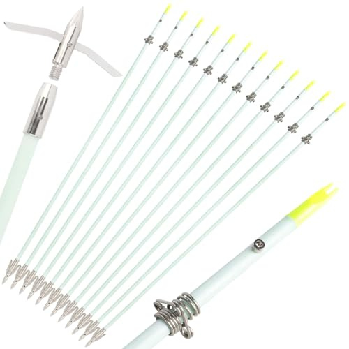 Générique Flèches de pêche et de Chasse Lumineuses pour Le tir à l'arc Flèches de pêche à l'arc Lumineuses avec Pointes Amovibles et glissières de sécurité pour arcs à poulies et arcs recourbés