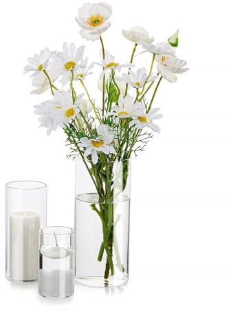 Deko Vase Glas Zylinder Tischdeko: Glasseam 3 Stück/Satz Blumen Vasen Set Modern Glasvase Rund Glaszylinder Blumenvase Tulpenvase Tischvase Fuer Hochzeit Wohnzimmer Tulpen Rose, 10/15/20cm Hoch