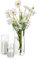 Cilindro Vaso Per Fiori In Vetro Trasparente, 3 Pezzi/Set Glasseam Modern Basic Vasi Per La Decorazione Della Tavola Centrotavola Matrimoni Fiori Rose Pampa Per Soggiorno Ornamenti, 10/15/20 Cm Alto