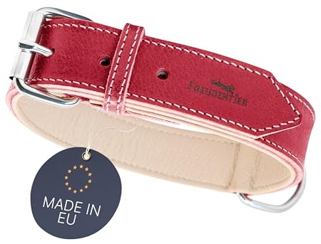 FREUDENTIER Hundehalsband Leder - weich gepolstert - Handmade in EU | Leder aus LWG Gold zertifizierten Gerbereien - Inkl. Geschenksäckchen - Lederhalsband für kleine, mittelgroße & große Hunde