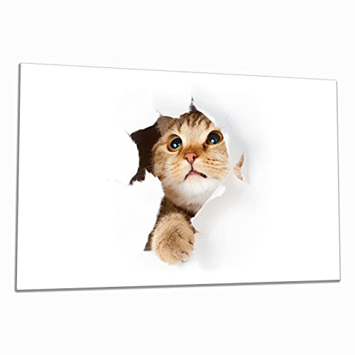Wallario Herdabdeckplatte/Spritzschutz aus Glas, 1-teilig, 80x52cm, für Ceran- und Induktionsherde, Katze mit Blick nach Oben