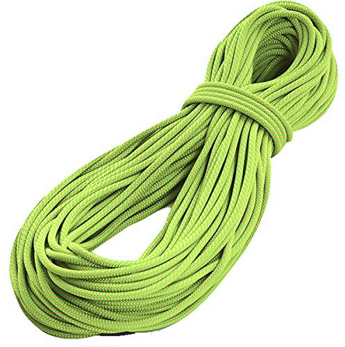 Tendon Karabiner für Bergsteigen, Bergsteigen und Trekking, Unisex, Erwachsene